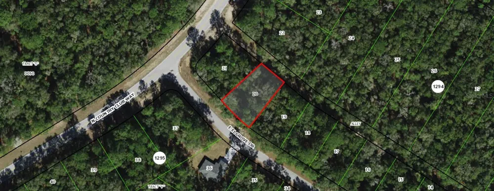 275 E ELGROVE DRIVE Citrus Springs, FL 34434