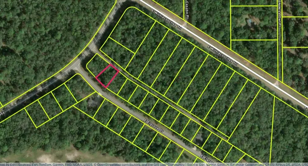 275 E ELGROVE DRIVE Citrus Springs, FL 34434