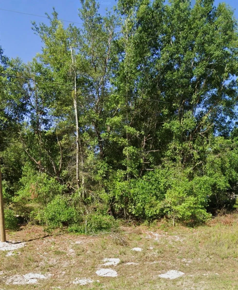 FISHER ROAD Ocklawaha, FL 32179