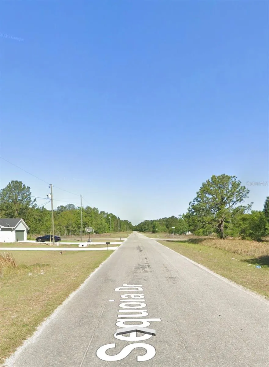 FISHER ROAD Ocklawaha, FL 32179