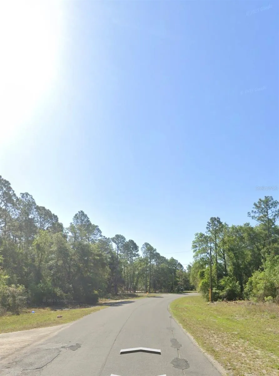 FISHER ROAD Ocklawaha, FL 32179