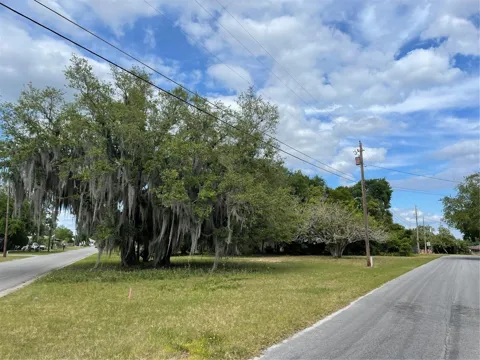 CLARA AVENUE