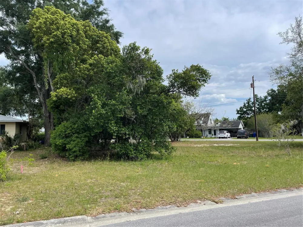 CLARA AVENUE Tavares, FL 32778