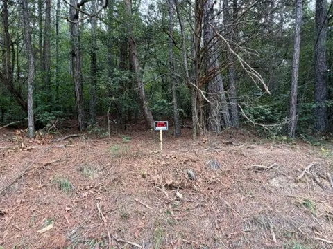 0 Iron Hill Road Lot 2