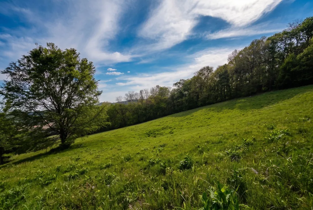 0 Lower Helton Rd Liberty, TN 37095