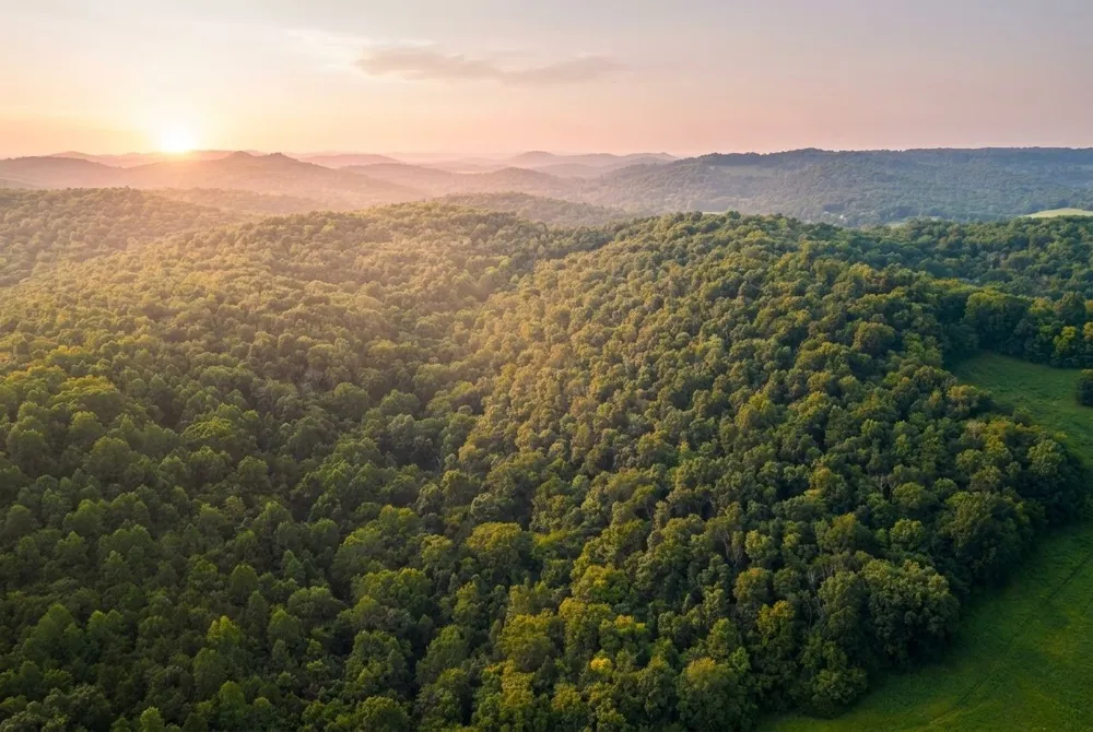 0 Lower Helton Rd Liberty, TN 37095