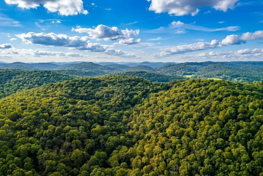0 Lower Helton Rd Liberty, TN 37095