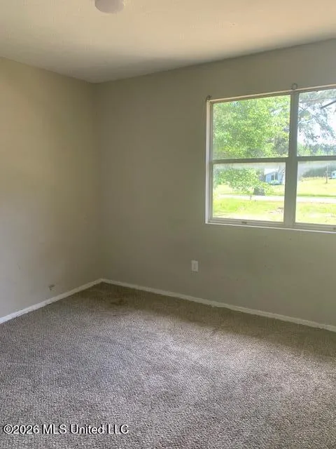 223 Barefoot Springs Road Pelahatchie, MS 39145