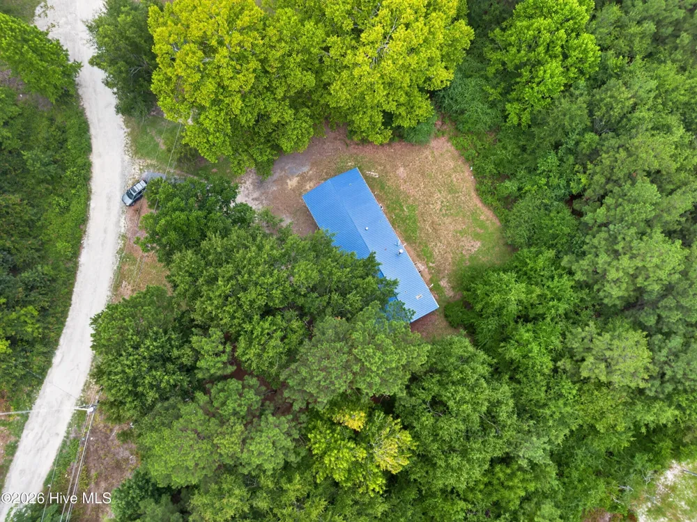 123 Hailey Ames Drive Hoffman, NC 28347