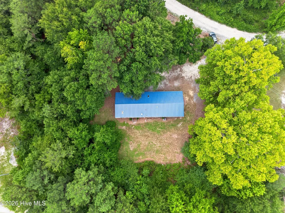 123 Hailey Ames Drive Hoffman, NC 28347