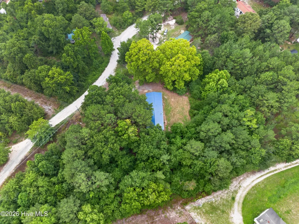 123 Hailey Ames Drive Hoffman, NC 28347