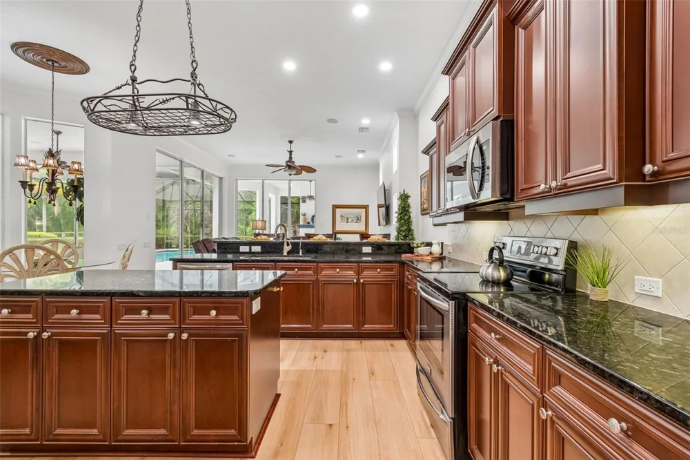 21105 LAKE VIENNA DRIVE Land O Lakes, FL 34638