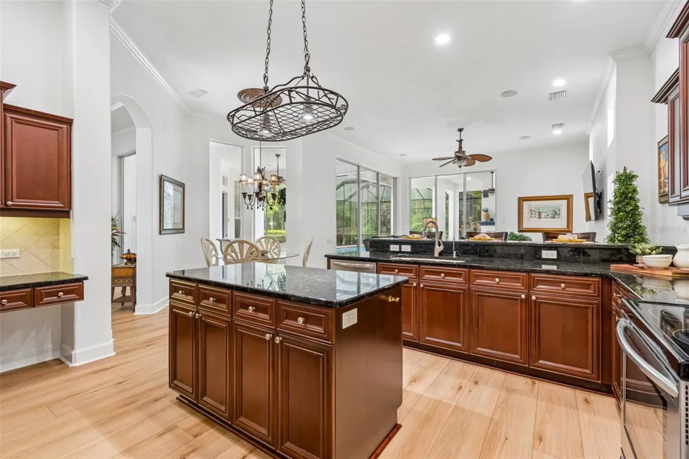 21105 LAKE VIENNA DRIVE Land O Lakes, FL 34638