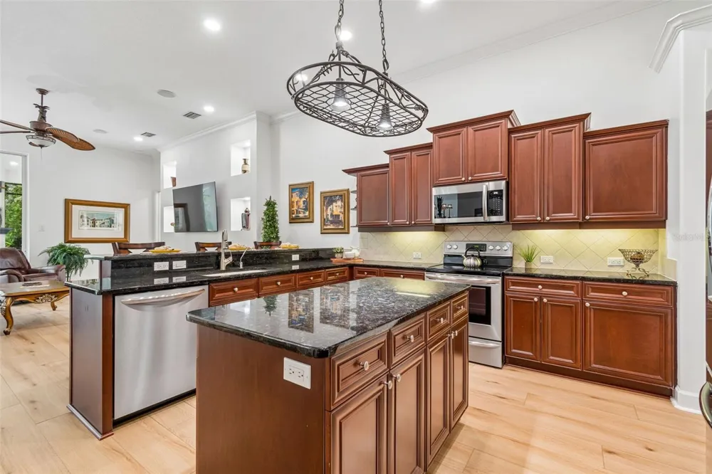 21105 LAKE VIENNA DRIVE Land O Lakes, FL 34638