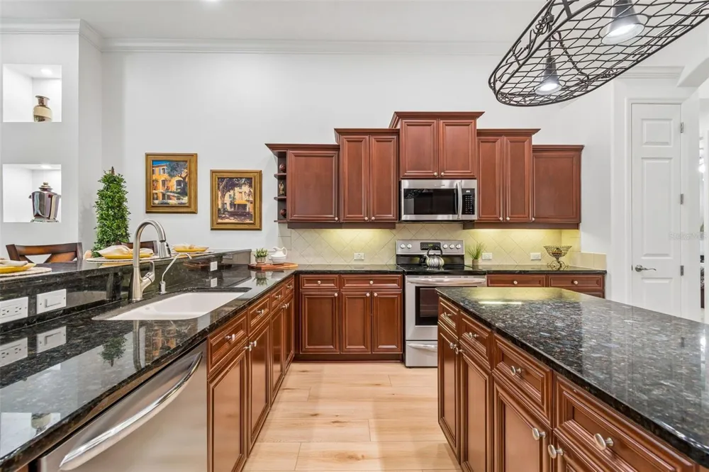 21105 LAKE VIENNA DRIVE Land O Lakes, FL 34638