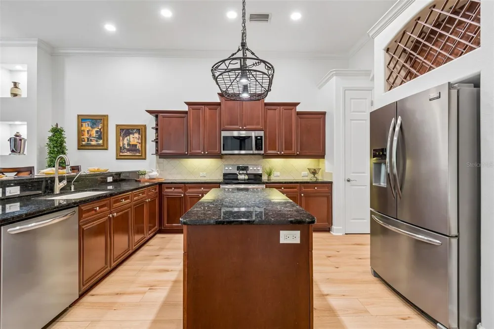 21105 LAKE VIENNA DRIVE Land O Lakes, FL 34638