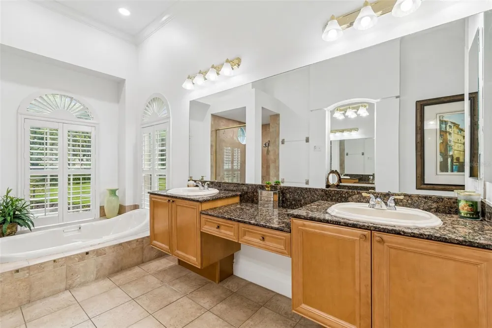 21105 LAKE VIENNA DRIVE Land O Lakes, FL 34638