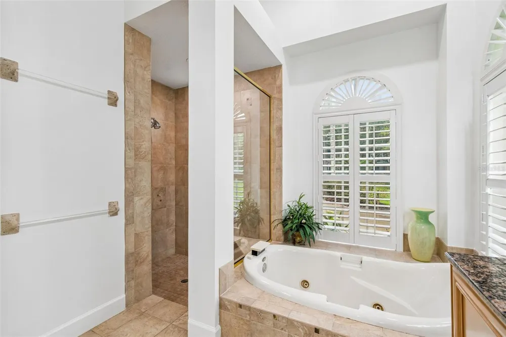 21105 LAKE VIENNA DRIVE Land O Lakes, FL 34638