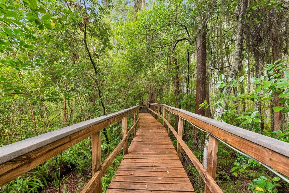 21105 LAKE VIENNA DRIVE Land O Lakes, FL 34638