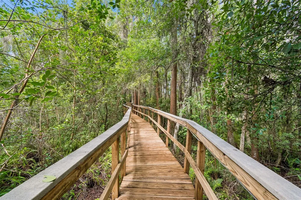 21105 LAKE VIENNA DRIVE Land O Lakes, FL 34638