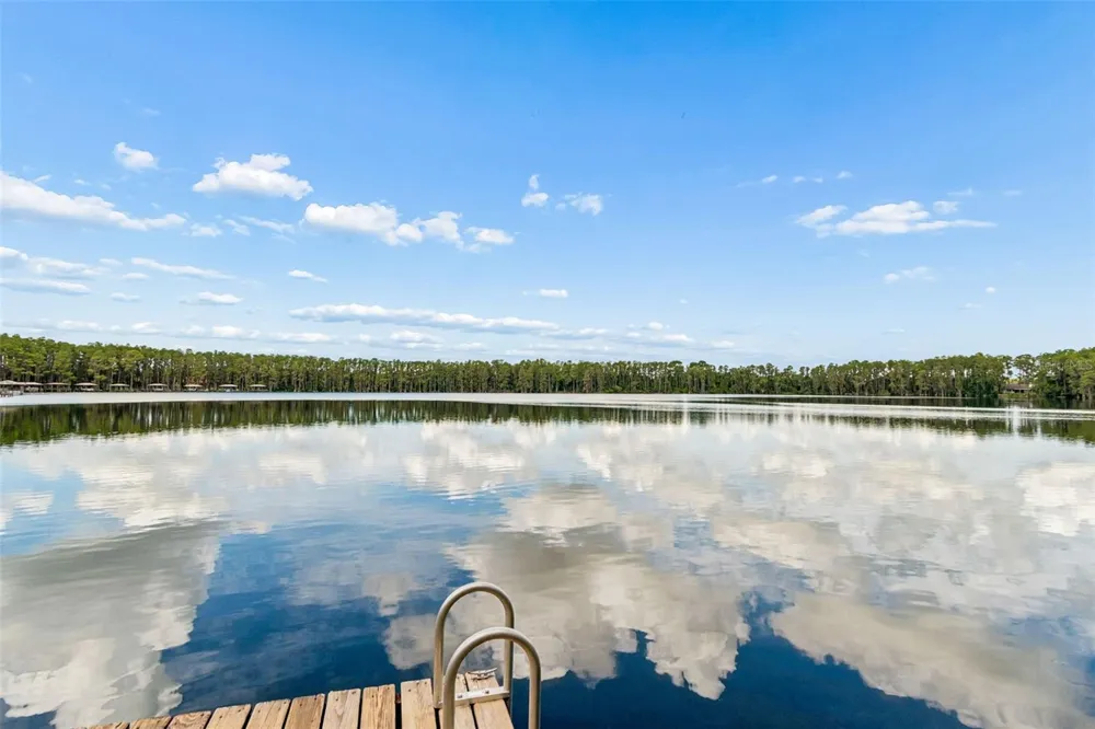 21105 LAKE VIENNA DRIVE Land O Lakes, FL 34638
