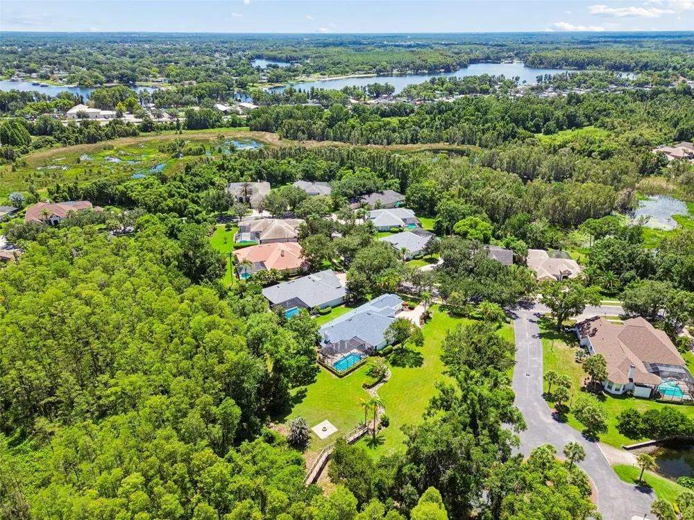 21105 LAKE VIENNA DRIVE Land O Lakes, FL 34638