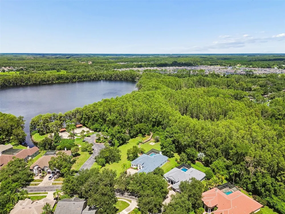 21105 LAKE VIENNA DRIVE Land O Lakes, FL 34638