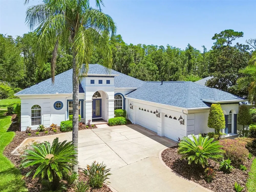 21105 LAKE VIENNA DRIVE Land O Lakes, FL 34638