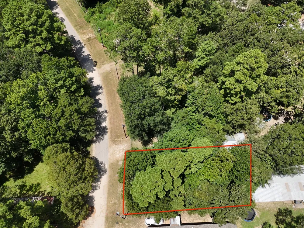 Forester - Lot 165 Livingston, TX 77351