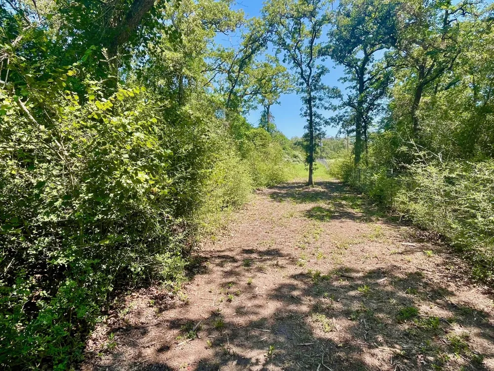 9212 Stetson Drive Normangee, TX 77871