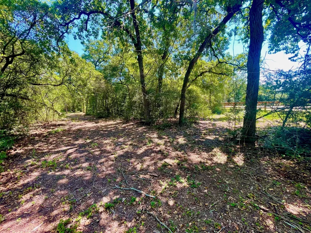 9212 Stetson Drive Normangee, TX 77871