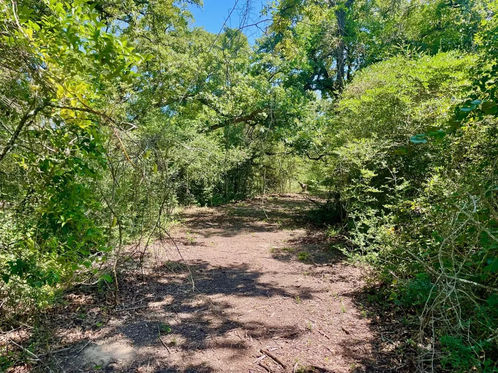 9212 Stetson Drive Normangee, TX 77871