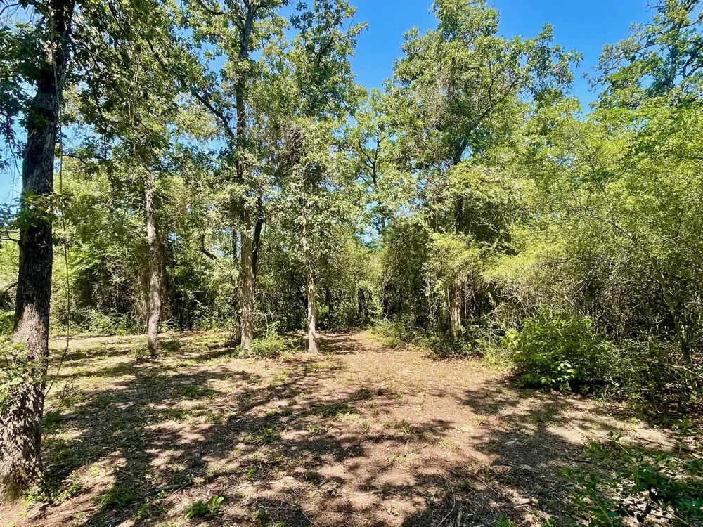 9212 Stetson Drive Normangee, TX 77871