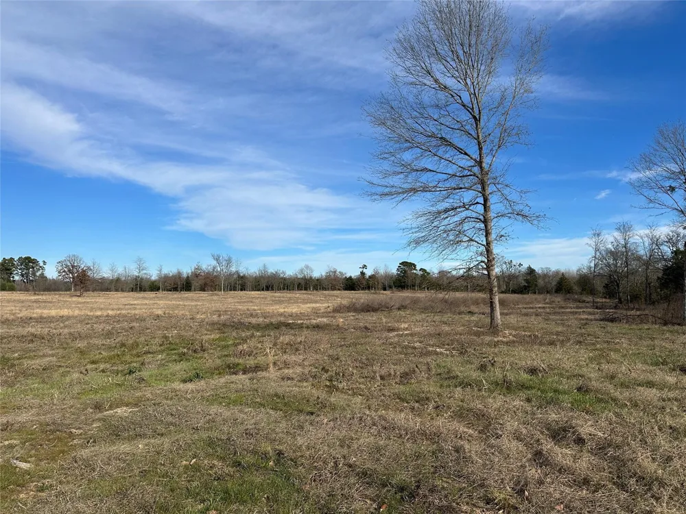 County Road 2425 Como, TX 75431