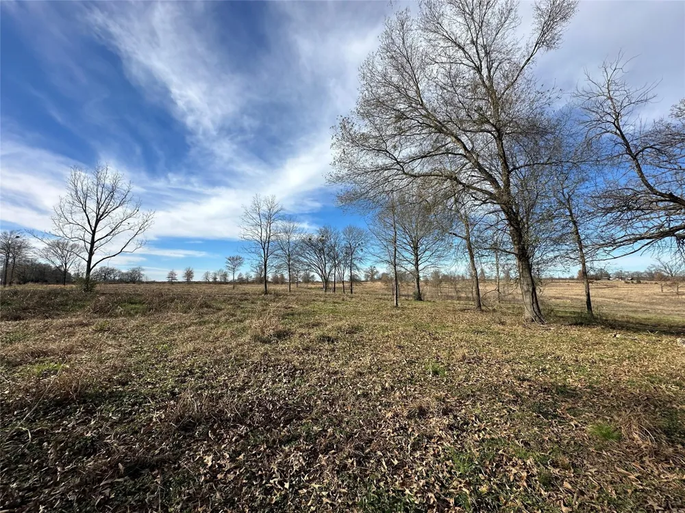 County Road 2425 Como, TX 75431