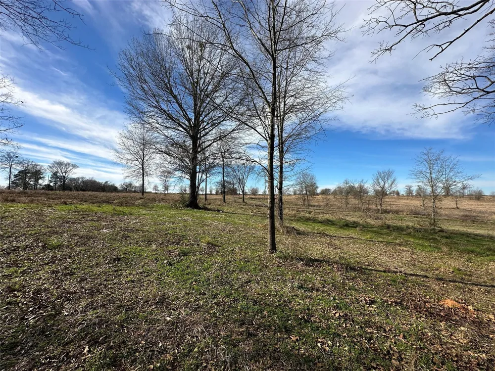 County Road 2425 Como, TX 75431