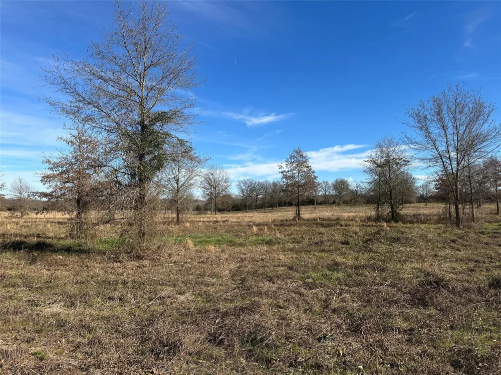 County Road 2425 Como, TX 75431