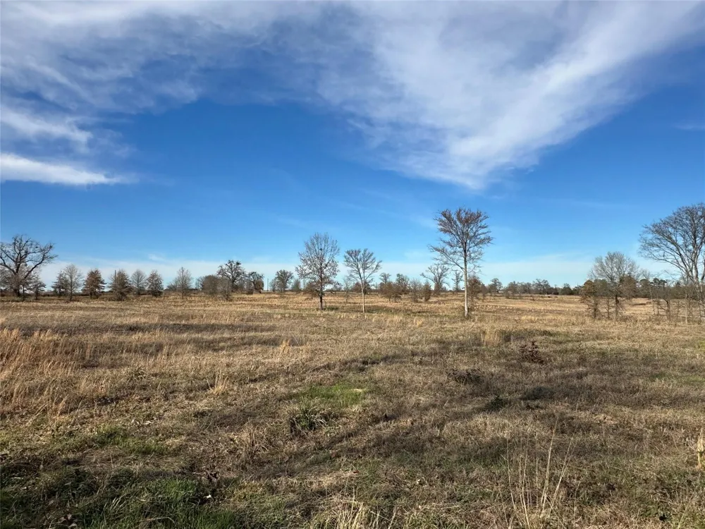 County Road 2425 Como, TX 75431