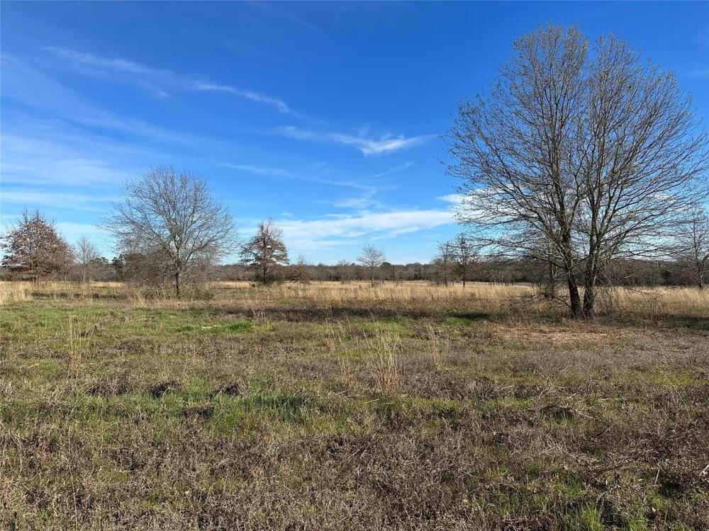 County Road 2425 Como, TX 75431