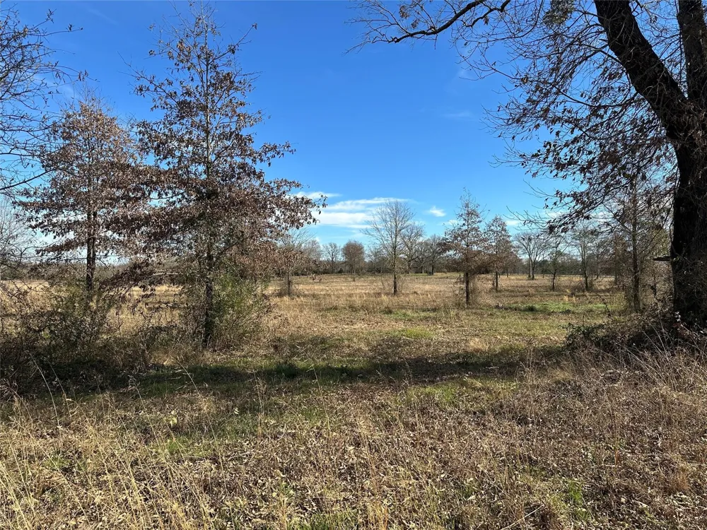 County Road 2425 Como, TX 75431