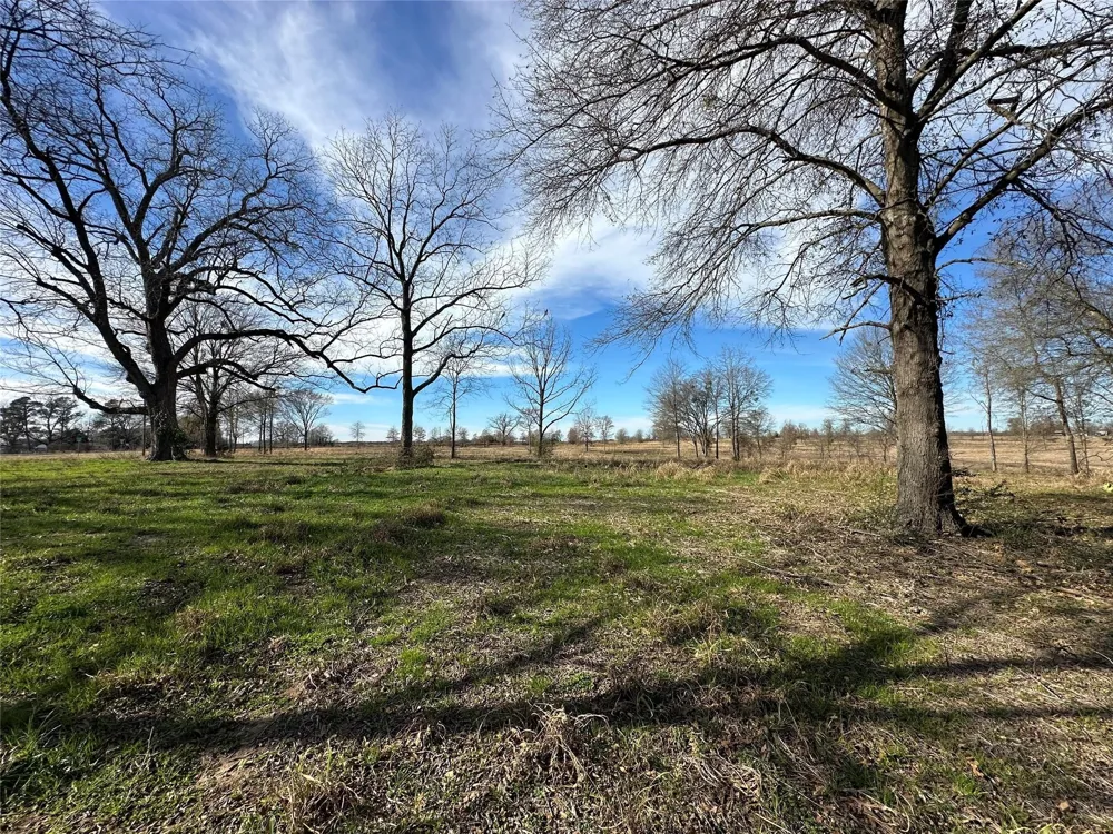 County Road 2425 Como, TX 75431