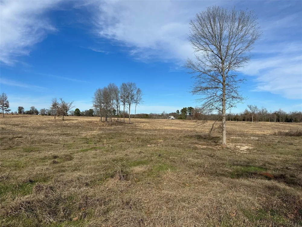 County Road 2425 Como, TX 75431
