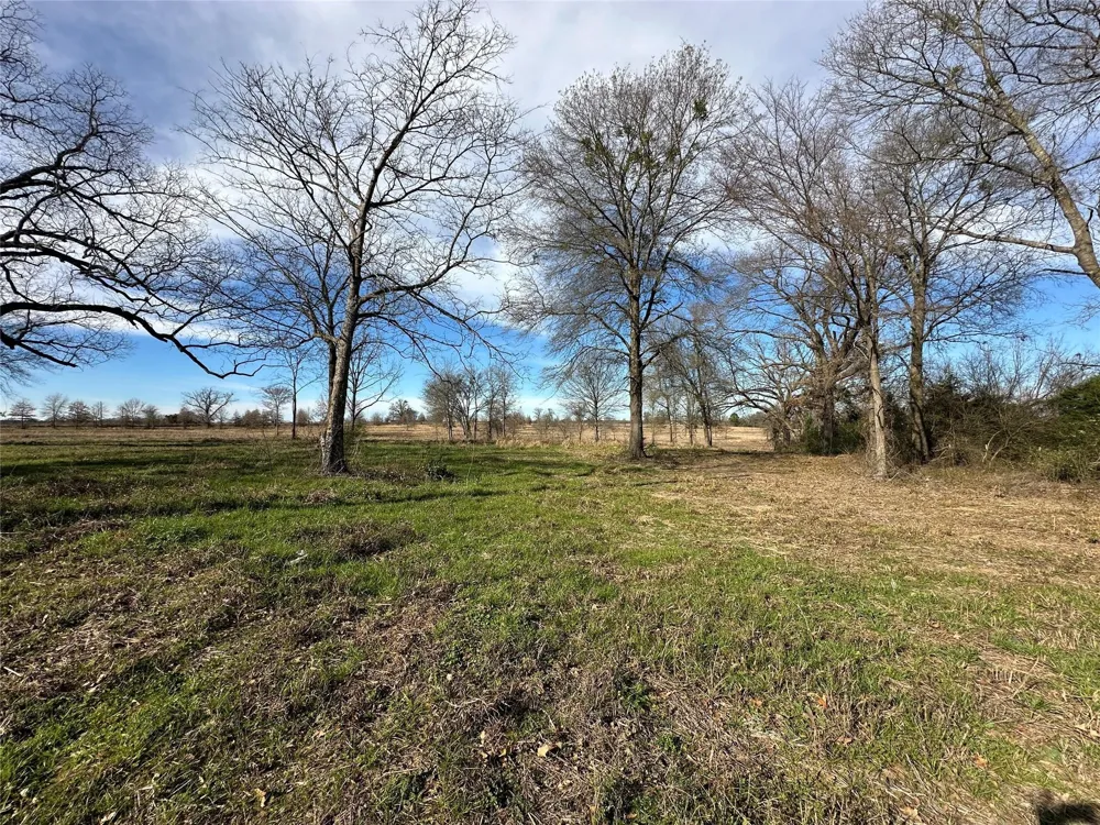 County Road 2425 Como, TX 75431