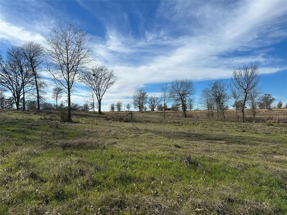 County Road 2425 Como, TX 75431