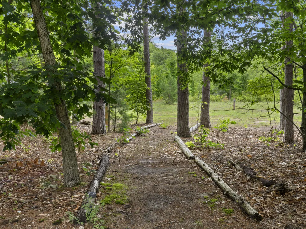 15357 Homestead Road Inland Township, MI 49683