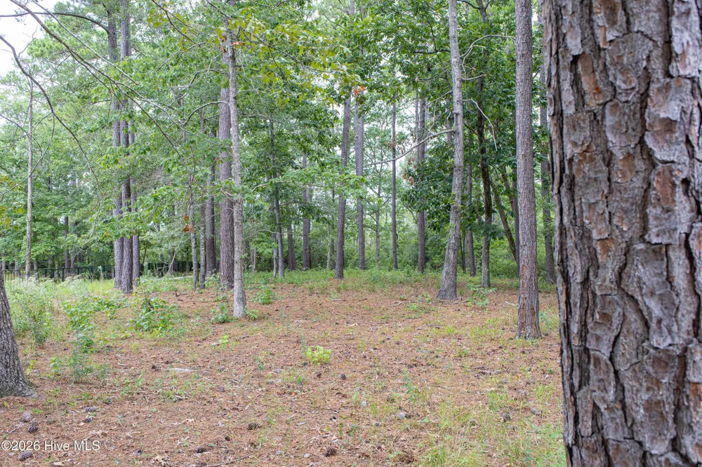 496 Hearthside Drive SE Bolivia, NC 28422