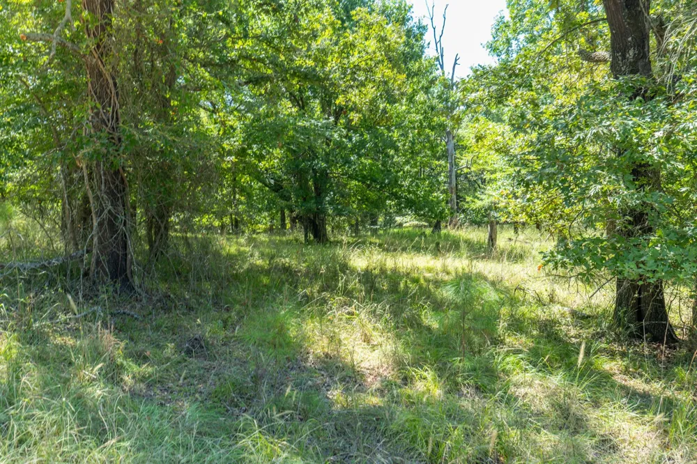 3401 Emory, TX 75440