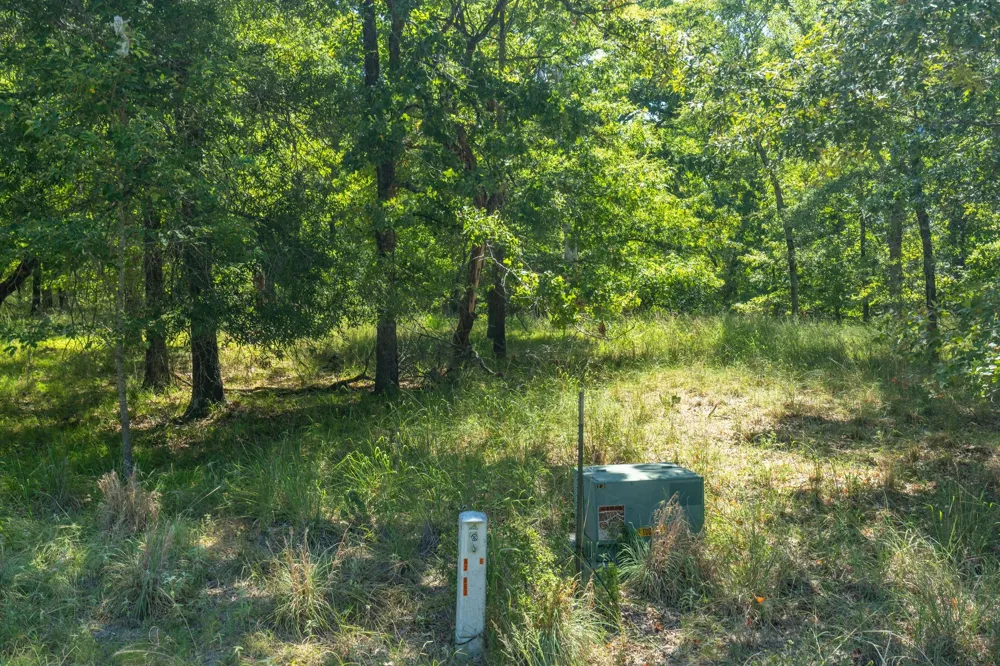 3401 Emory, TX 75440