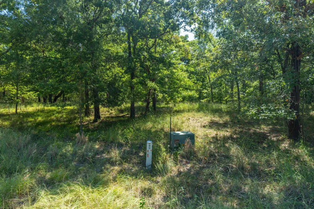 3401 Emory, TX 75440