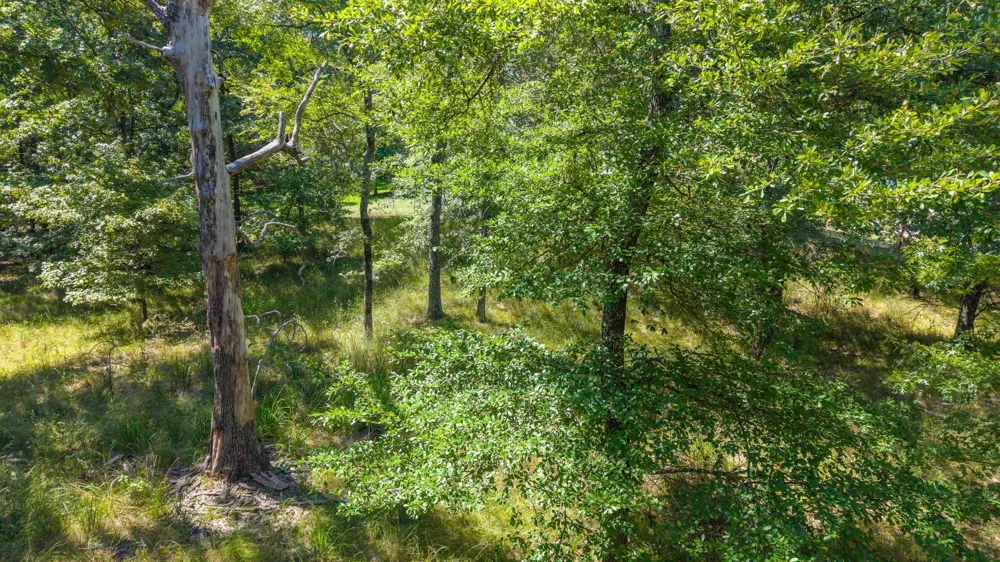 3401 Emory, TX 75440